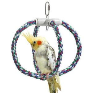 Vogelleitern & -sitzstangen