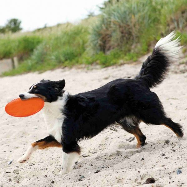 Trixie Hunde Disc orange, schwimmfähig